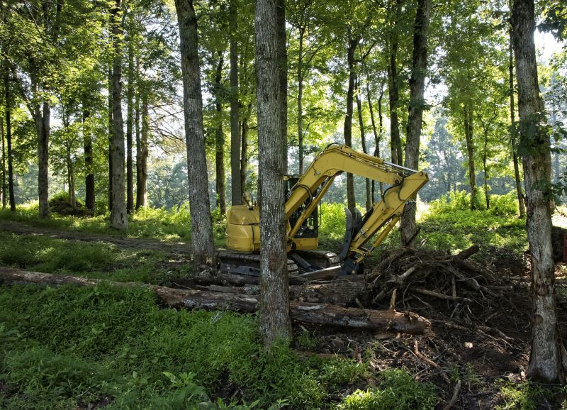 Brush Clearing Service in Gwinnett County, GA
