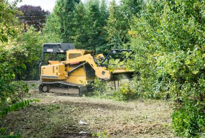 Easement Land Clearing in Utah County, UT