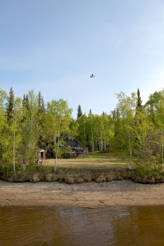 Land Clearing in Utah County, UT